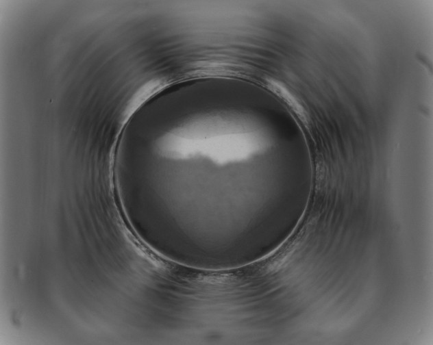 X0000091481386200708231351