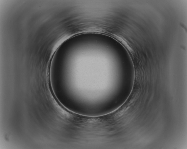 X0000091481387200708231351