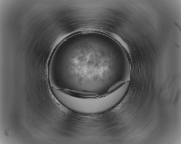 X0000091481388200708231351