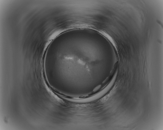 X0000091481389200708231351