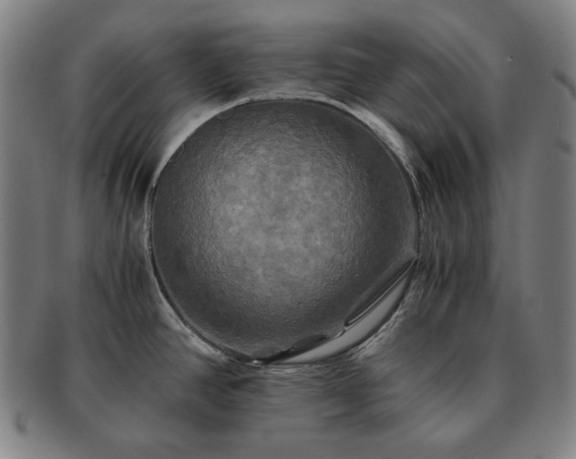 X0000091481390200708231351