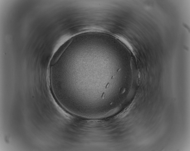 X0000091481391200708231351