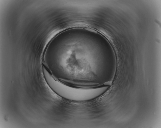 X0000091481392200708231350