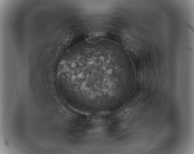 X0000091481393200708231350