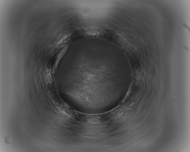 X0000091481394200708231350