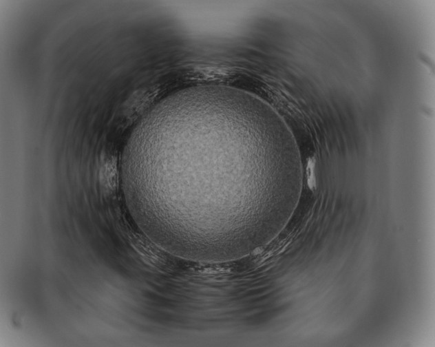 X0000091481395200708231350