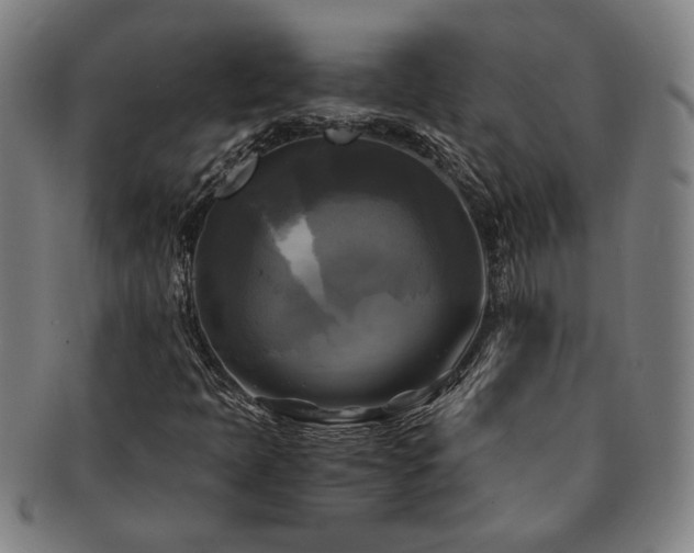 X0000091481397200708231350