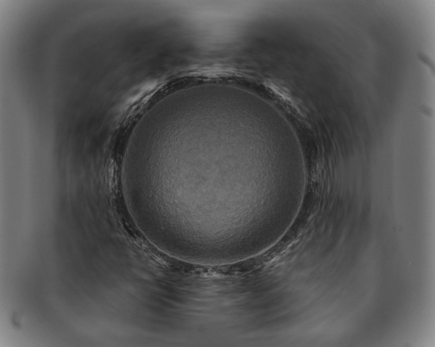 X0000091481398200708231350