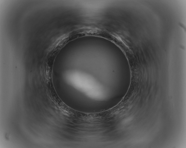 X0000091481399200708231350