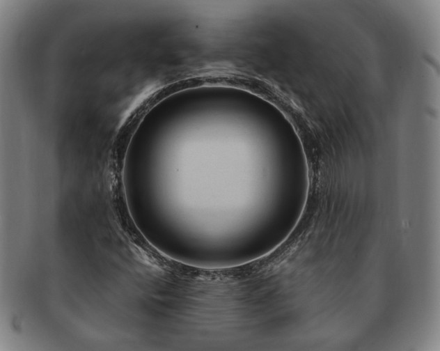 X0000091481400200708231350