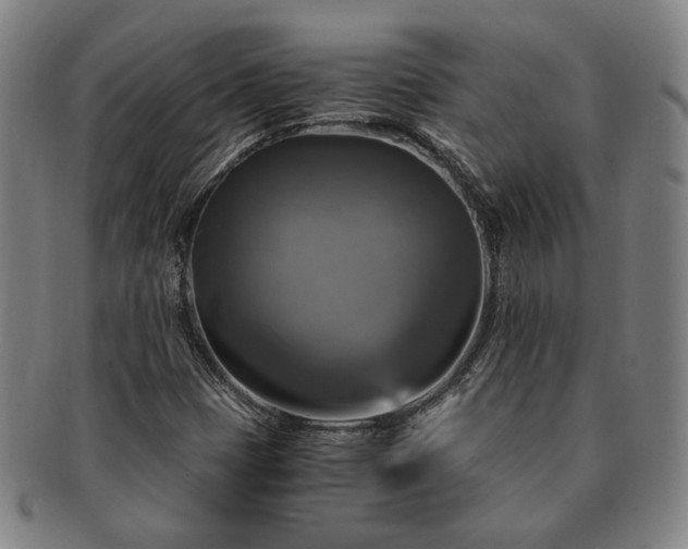 X0000091481401200708231350