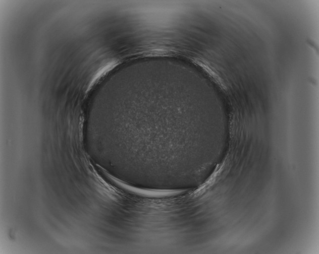 X0000091481402200708231350