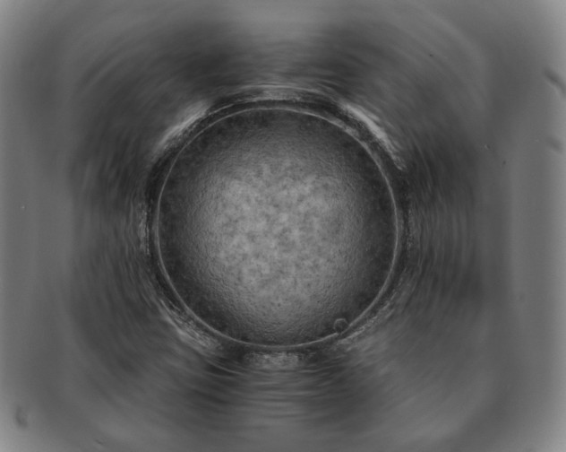 X0000091481403200708231350