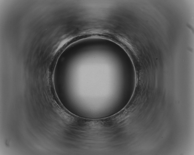 X0000091481404200708231350