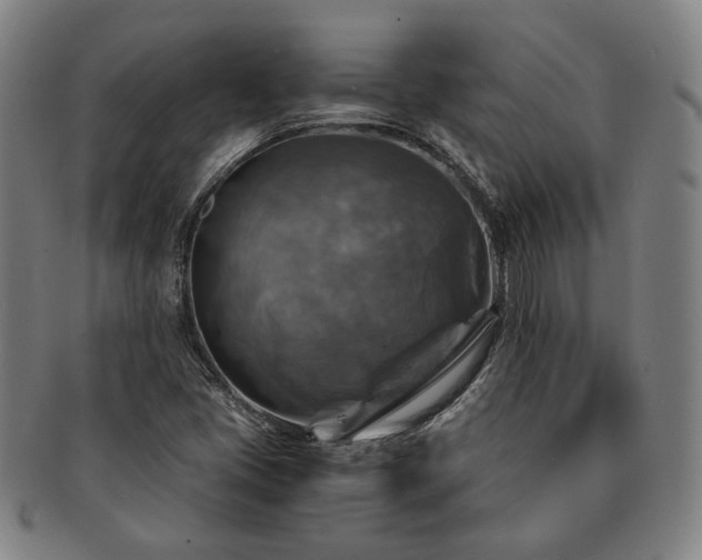 X0000091481405200708231350