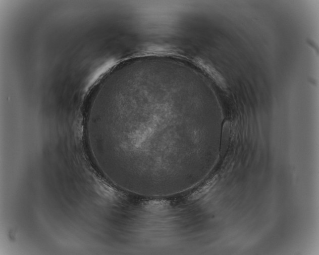 X0000091481406200708231350