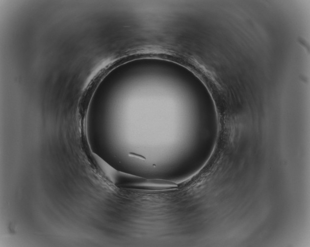 X0000091481408200708231350