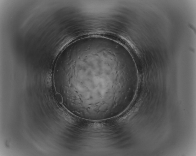 X0000091481409200708231350