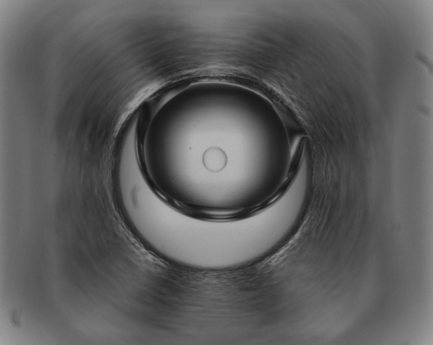 X0000091481410200708231350