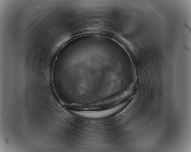 X0000091481411200708231350