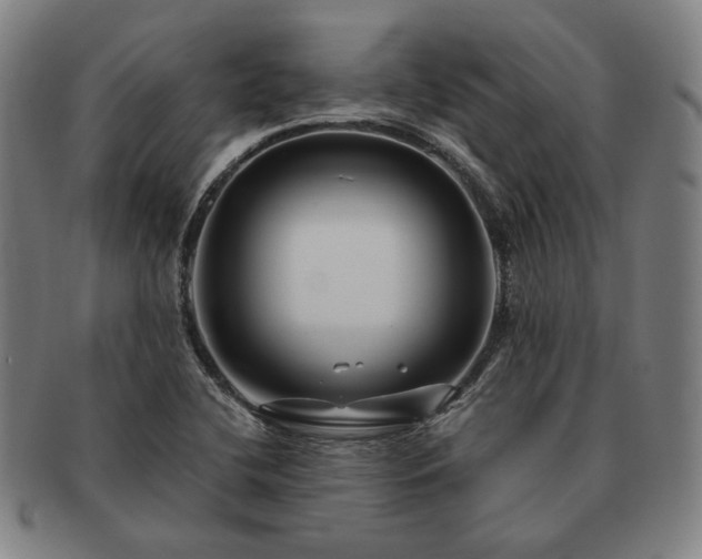 X0000091481412200708231350