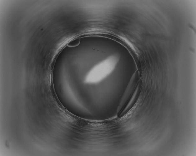 X0000091481413200708231350