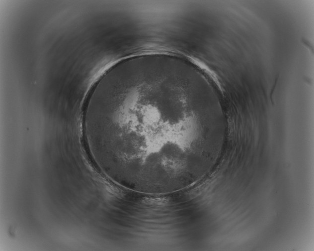 X0000091481415200708231350