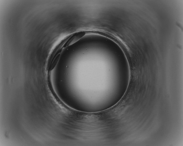 X0000091481416200708231350