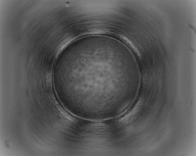 X0000091481417200708231350