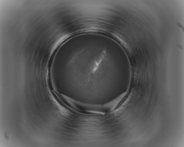 X0000091481418200708231350