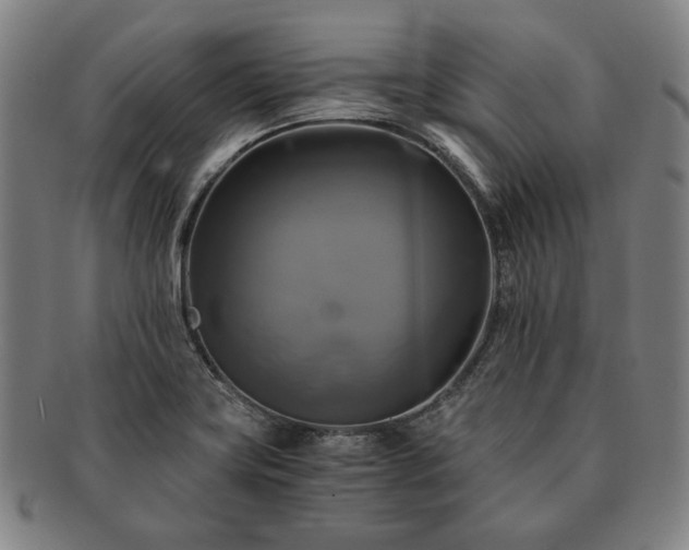 X0000091481419200708231350