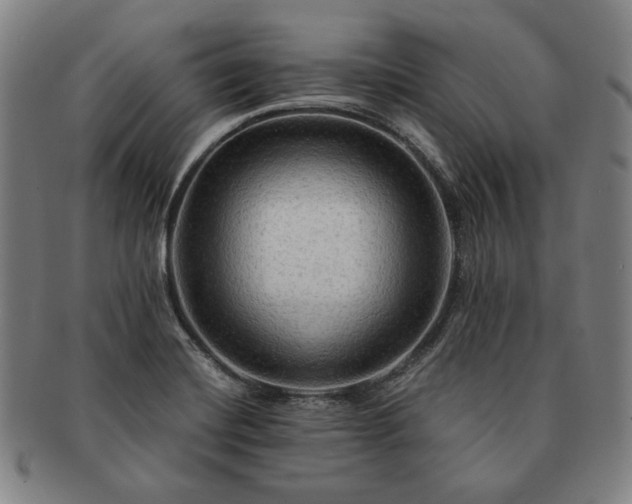 X0000091481420200708231350