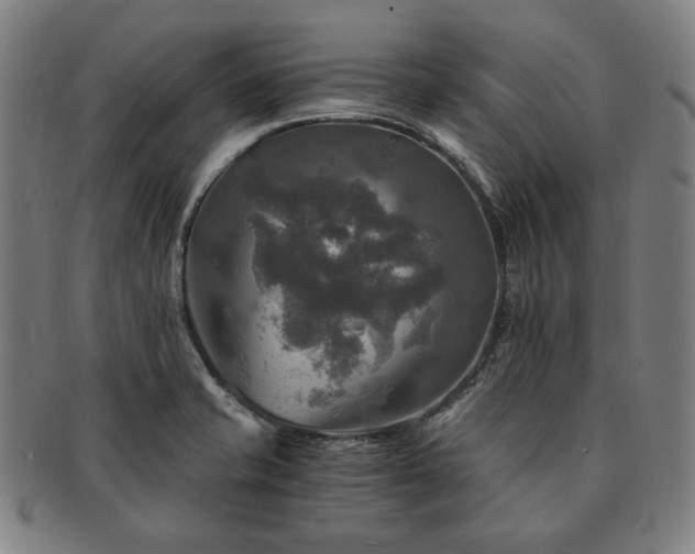 X0000091481421200708231350