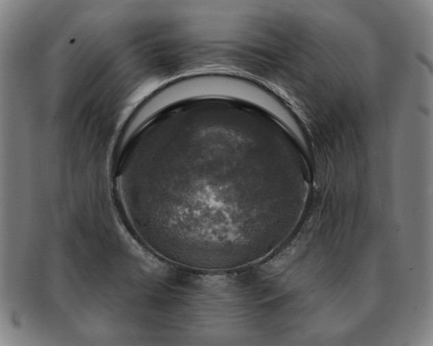 X0000091481422200708231350