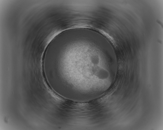 X0000091481423200708231350