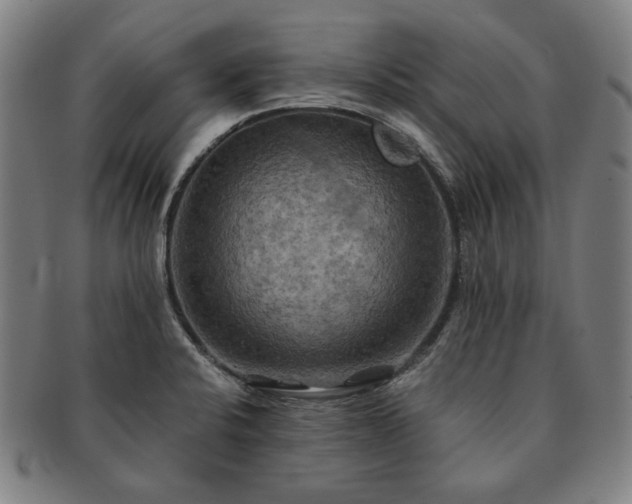 X0000091481424200708231350