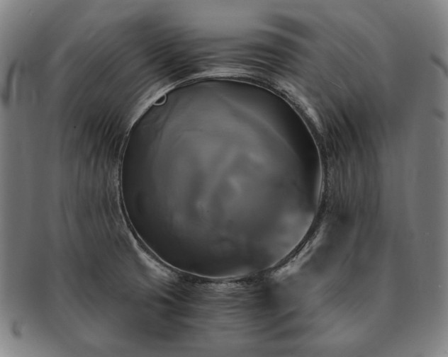 X0000091481425200708231350