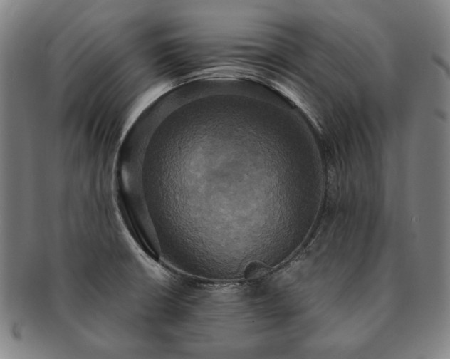 X0000091481426200708231350