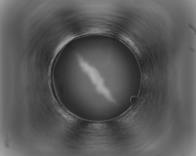 X0000091481427200708231350