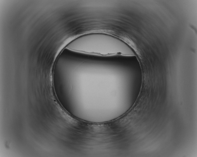 X0000091481428200708231350