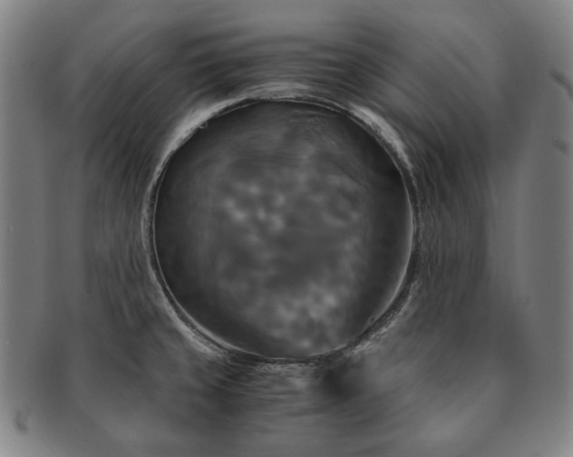 X0000091481429200708231350