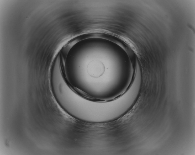 X0000091481430200708231350