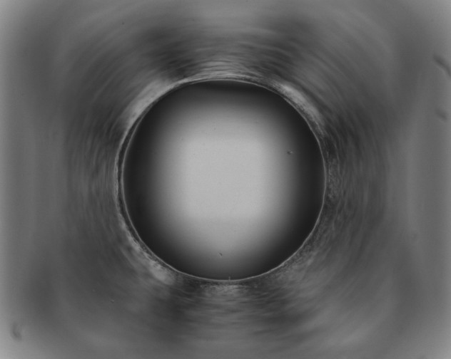 X0000091481431200708231350