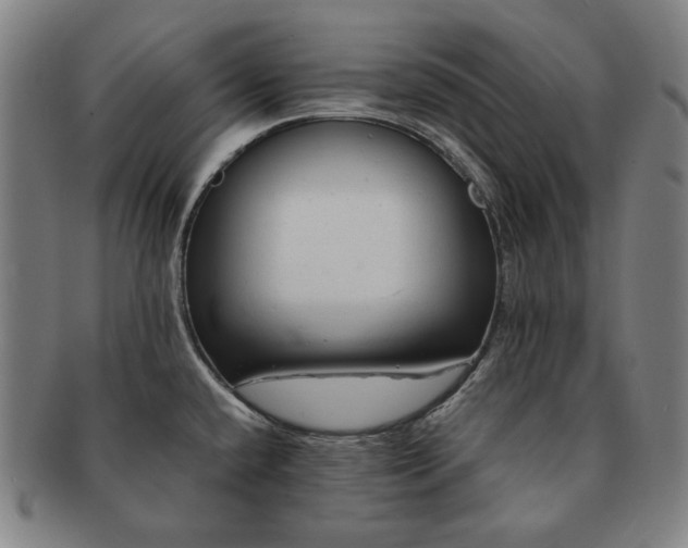 X0000091481432200708231350