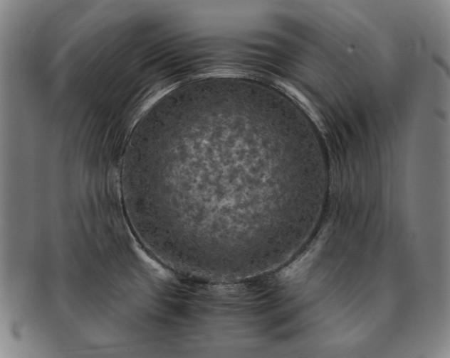 X0000091481433200708231350