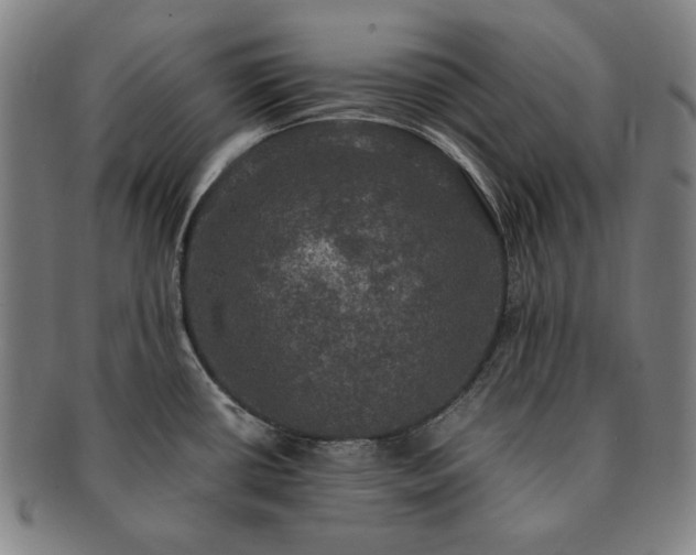 X0000091481434200708231350