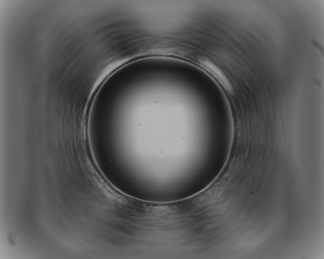 X0000091481436200708231350