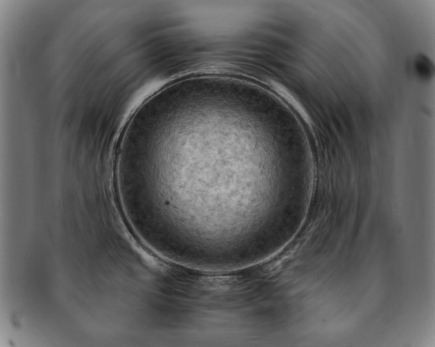 X0000091481437200708231350