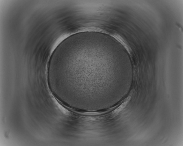 X0000091481438200708231350