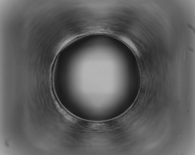 X0000091481439200708231350